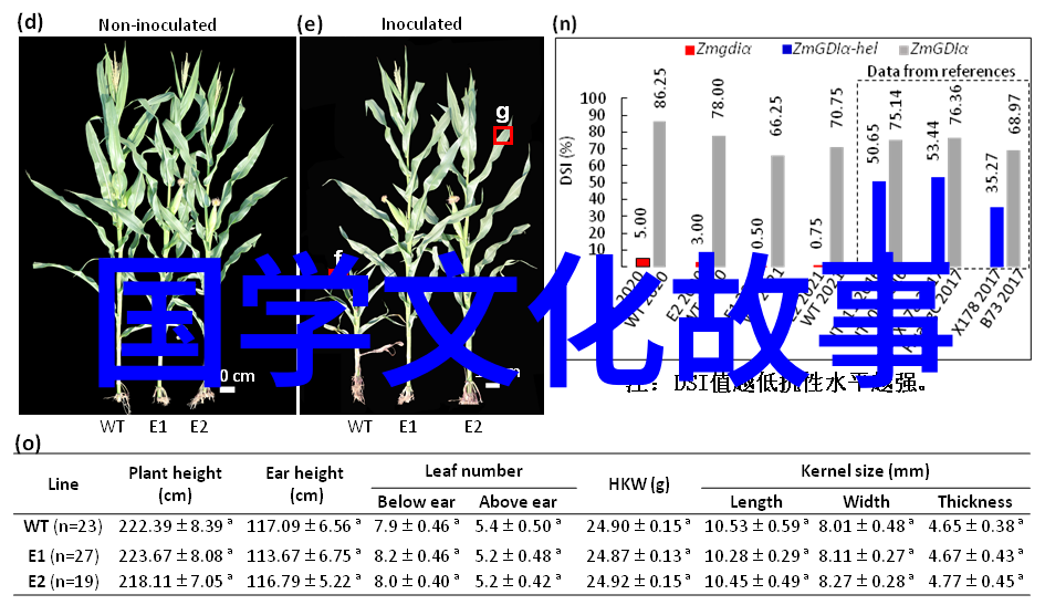 泼水难收