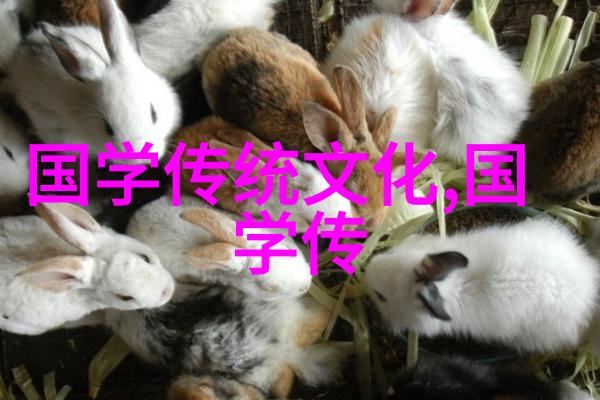 孙贝贝加强中华民族共同体理论体系建设