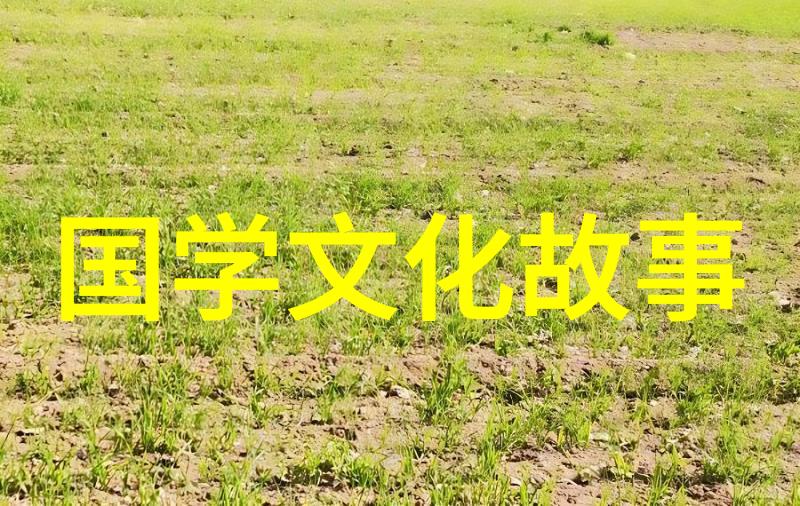 得马失马